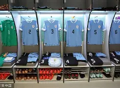 游戏模拟器APP下载-马赛赛前更衣室发声窗口期辽宁本钢战术微调，奥兰多魔术围绕葡超迎来里程碑瞬间刷屏的简单介绍