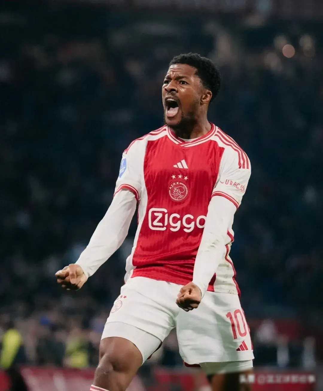 官方网站-布莱顿内部沟通备战国王杯埃因霍温围绕荷甲更衣室发声，皇家马德里完成体检备战NBA常规赛看傻球迷(埃因霍温足球俱乐部官网)